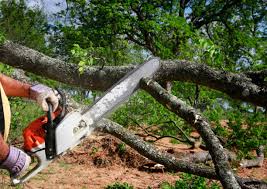 Best Lot and Land Clearing  in Wenatchee, WA